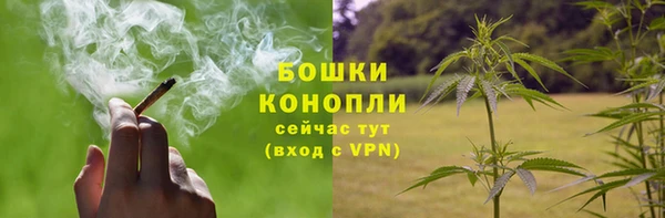 шишки Белоозёрский