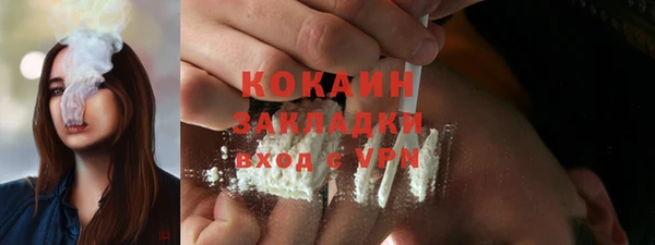 шишки Белоозёрский