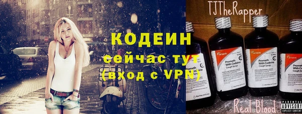 шишки Белоозёрский
