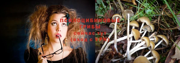 эйфоретик Балахна