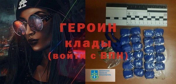 шишки Белоозёрский