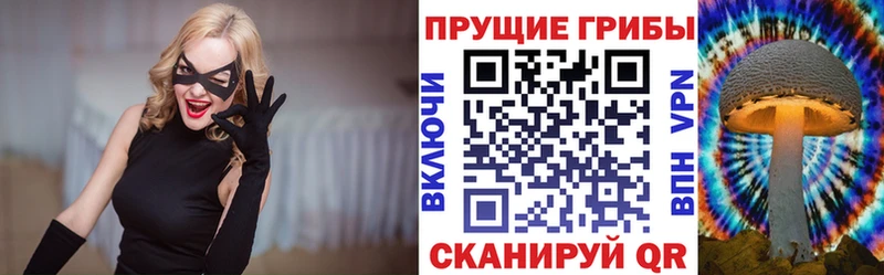 Псилоцибиновые грибы мухоморы купить наркоту Пикалёво